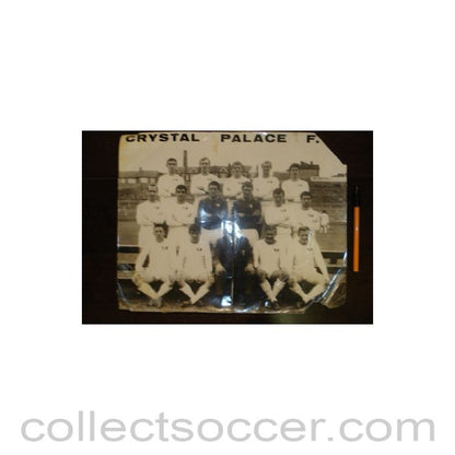 Large team photograph of Crystal Palase