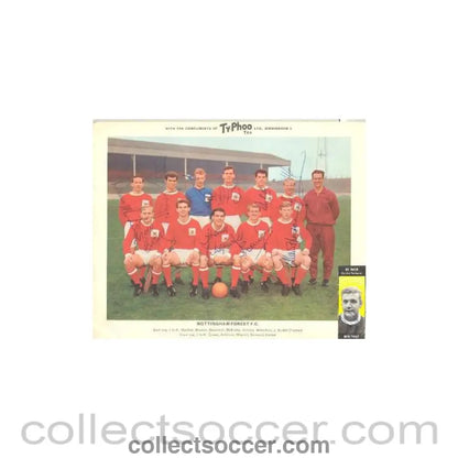 Nottingham Forest signed team photograph