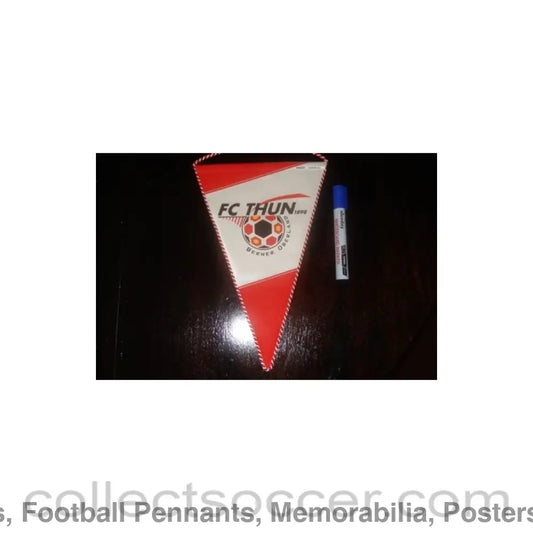 Thun Switzerland Pennant