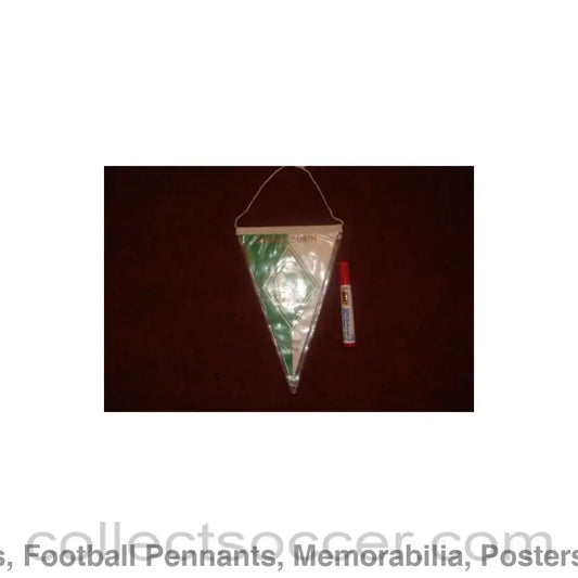 Werder Bremen Germany Pennant