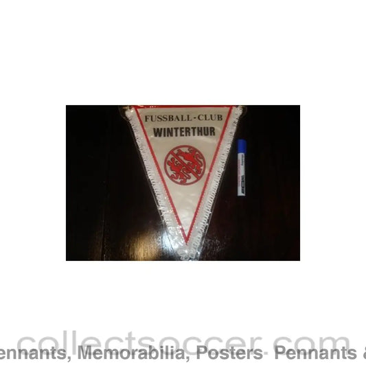 Winterthur Football Club Pennant