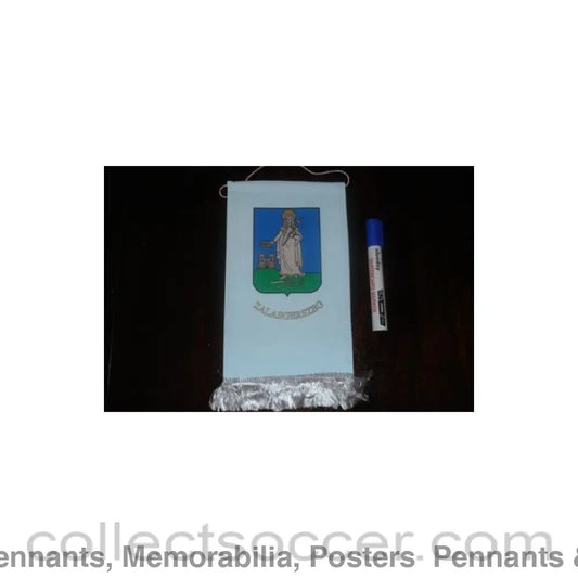 Zalaegerszeg Pennant